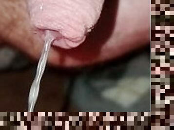 kencing, amatir, cumshot-keluarnya-sperma, sperma, eropa, mata-uang-euro, sperma-sperm, fetish-benda-yang-dapat-meningkatkan-gairah-sex, seorang-diri