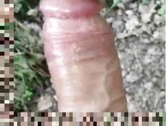 masturbation, public, amateur, énorme-bite, ados, gay, branlette, solo, tchèque, forêt