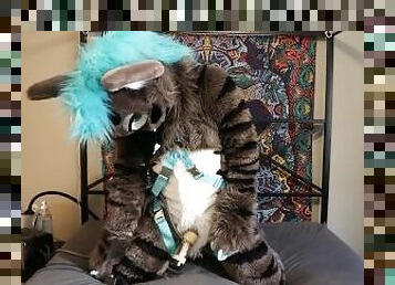 Fursuiter cums using venus 2000