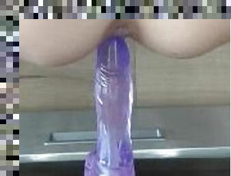 estilo-cão, masturbação, babes, adolescente, brinquedo, cozinha, dildo, sozinho